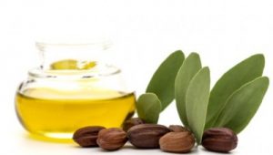 Salty Knowledge: Jojoba